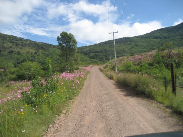 Senderos de montaña